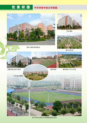 LD在线官网,LD在线官网(中国)2016年招生简章6