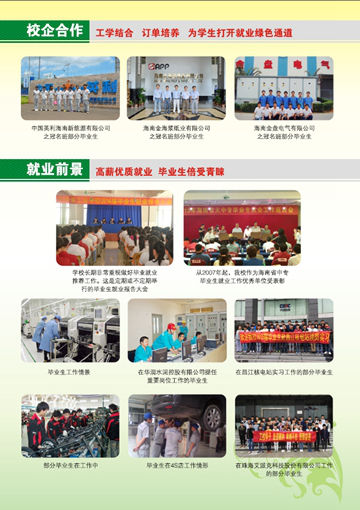 LD在线官网,LD在线官网(中国)2016年招生简章15
